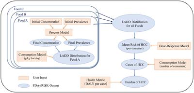 Disease burden contributed by dietary exposure to aflatoxins in a mountainous city in Southwest China